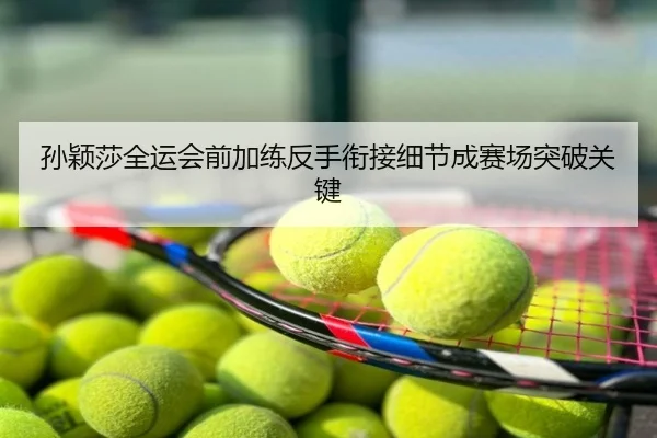 孙颖莎全运会前加练反手衔接细节成赛场突破关键